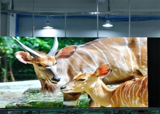 P1.923 Tela LED colorida interna SMD1515 Montagem em parede Ultra Alta Definição