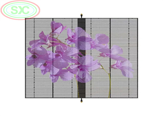 Ecrãs LED suspensas e LED transparentes 1000*500MM de brilho ajustável