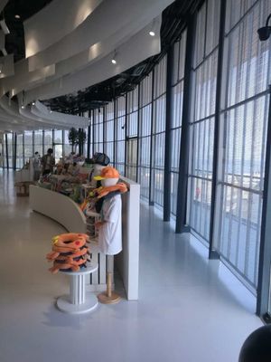 HD Full Color Video Advertising Led Screen G3.91-7.82 Janela de vidro interna Display LED transparente