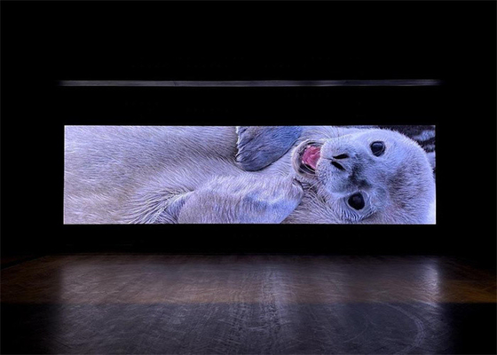 Display LED à prova d'água e estável com 1500 cd/m2 de brilho e ângulo de visão de 120° para um desempenho óptimo da tela