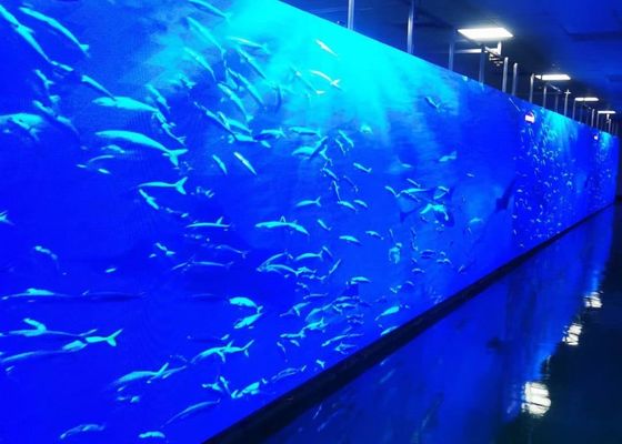 Ecrãs de publicidade LED SMD de alta luminosidade em cores completas P6 para estrada à prova d'água