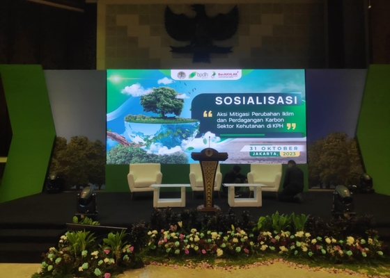 HD Painel de visualização de vídeo LED de alumínio/caixinha de ferro 1/30