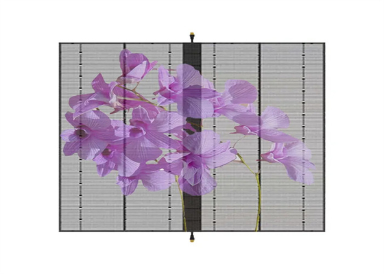 AC100-240V 60Hz Input Transparent LED Display Screen para publicidade interna Função de exibição de vídeo 3-5 anos de garantia