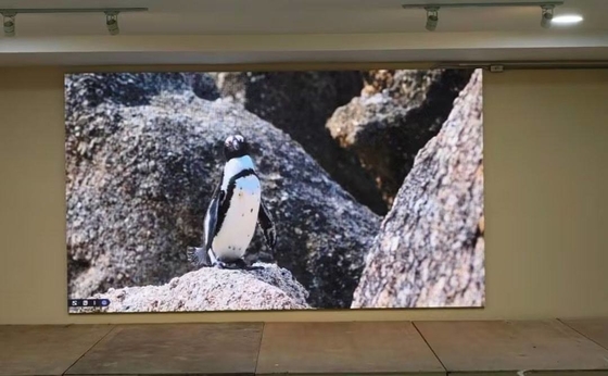 256*128 Display LED de resolução de módulo de passo fino com chip de tubo a cores completas certificado CE/ROHS/FCC