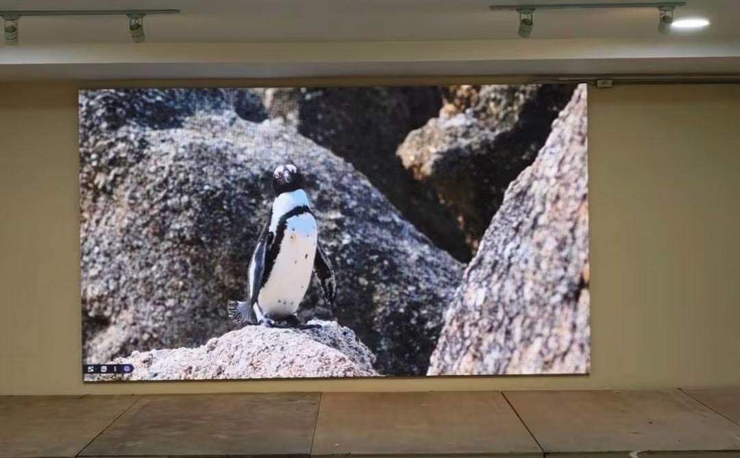 256*128 Display LED de resolução de módulo de passo fino com chip de tubo a cores completas certificado CE/ROHS/FCC