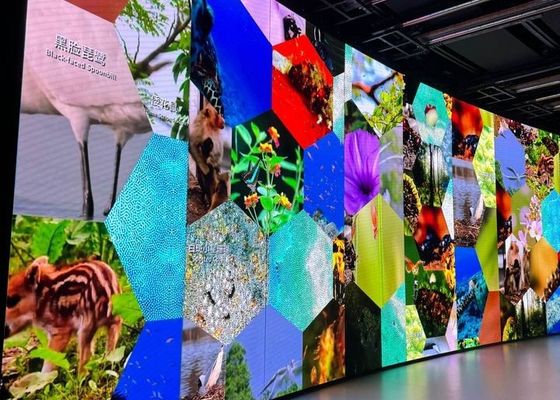 Brilho do Balanço de Branco ≥7500cd/m2 Display LED Fixo com Tamanho do Módulo de 192*192mm e MTBF de 5000 Horas