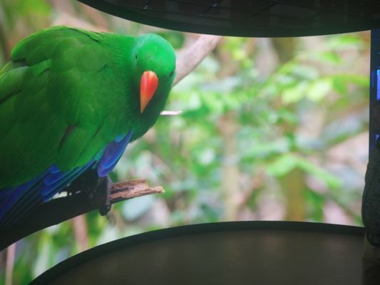 Armário de alumínio P5 Display LED fixo para manutenção de serviço traseiro personalizável