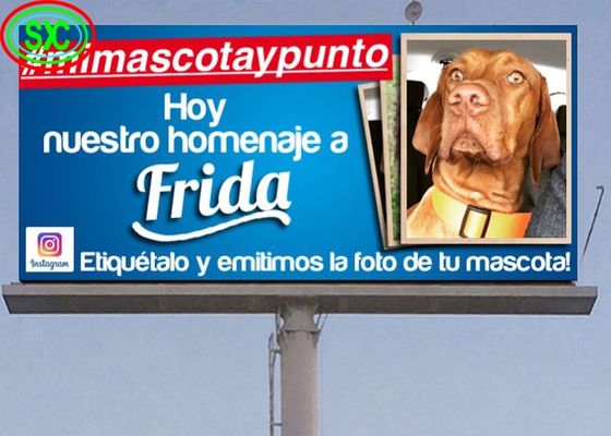 Caixa de ferro / aluguel comercial de exposição externa de LED a cores completas para publicidade na rua e no supermercado