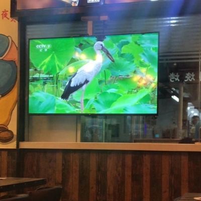 Bom preço Módulo LED 1R1G1B à prova d'água para interior 300*168,75mm para displays de publicidade impressionantes e impactantes on-line