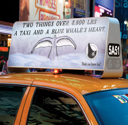 Ecrã de telhado de táxi à cor inteira exterior à prova de água