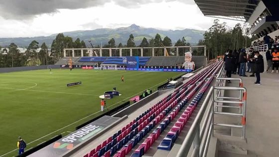 Bom preço O perímetro exterior do estádio de P10 5500nits conduziu os painéis SMD3535 on-line